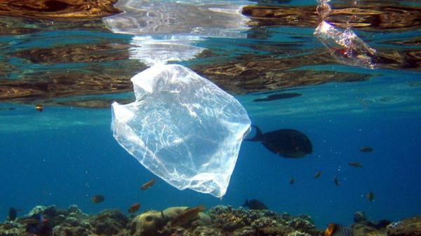 Zwischen Hawaii und Kalifornien kann man sehen, wie es um die Vermüllung der Meere steht. Dort befindet sich der sogenannte Great Pacific Garbage Patch. Er ist der größte von insgesamt fünf Müllstrudeln in den Weltmeeren und über vier Mal so groß wie Deutschland. In dem Meeresstrudel im Pazifik schwimmen ungefähr 79.000 Tonnen Müll.
