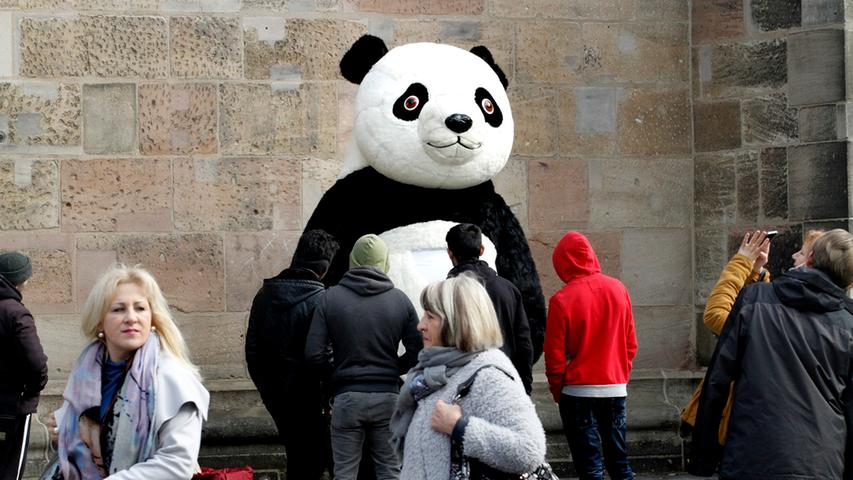 Zum Knuddeln war der schwarz-weiße Panda in der Nürnberger Fußgängerzone ...