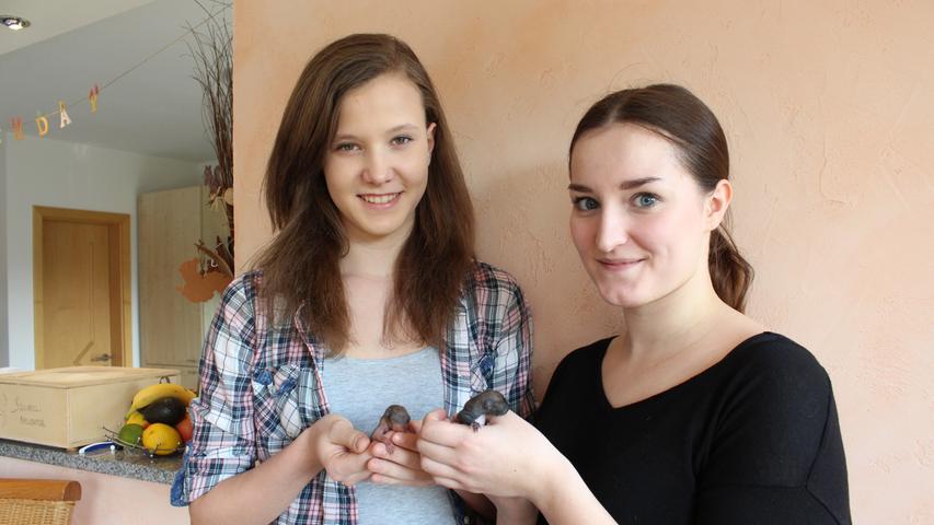 Nina Grabmann (li.) und Hannah Dilly (re.) peppeln die kleinen Eichhörnchen-Findelkinder Fred und Wilma in der Nürnberger Auffangstation auf.