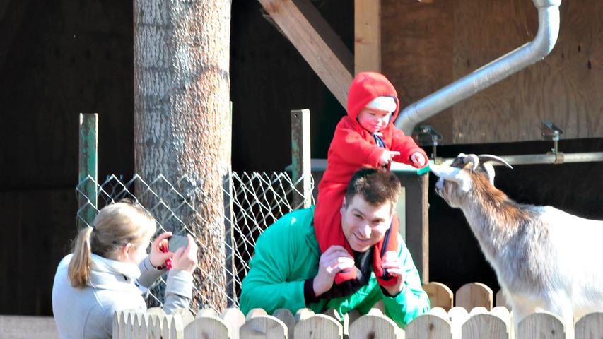 Hängebauchschweine und Rentiere: Saisoneröffnung im Wildpark Hundshaupten