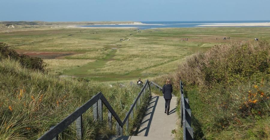 Ein Spaziergang durch das Naturschutzgebiet De Slufter ist ein Muss: Salzwiesen, Sandbänke und Wasserläufe bilden zusammen ein atemberaubendes Bild. Das Meer darf hier ungehindert in die Dünenlandschaft eindringen.
