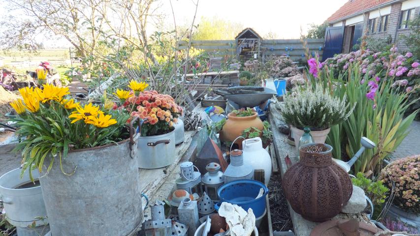Liebevolles Blumenarrangement im Garten des Landguts „De Bonte Belevnis“, einem Kunsthandwerker-Hof mit Café und kreativen Angeboten für Besucher.