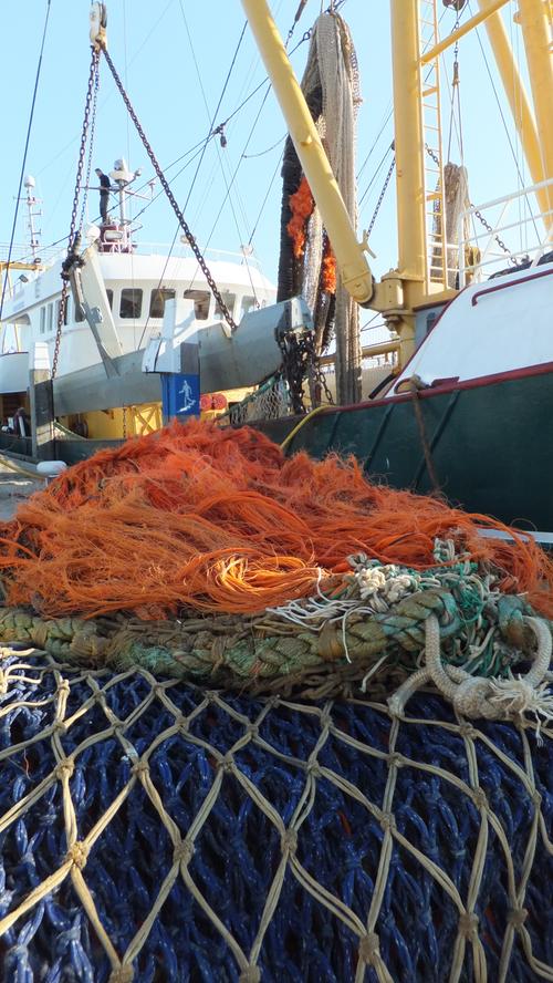 Fischernetze im Hafen Oudeschild. Das Meer bietet noch immer reiche Beute, sagen die Fischer. Wer will, kann mit den Seebären hinaus fahren und Krabben fischen.