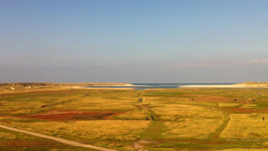 Waren Sie schon einmal auf Texel? Nein? Dann machen Sie sich doch mit uns auf einen Rundgang über die größte niederländische Nordseeinsel. Das Meer hat hier freies Spiel: Ein Blick auf das Naturschutzgebiet De Slufter.
