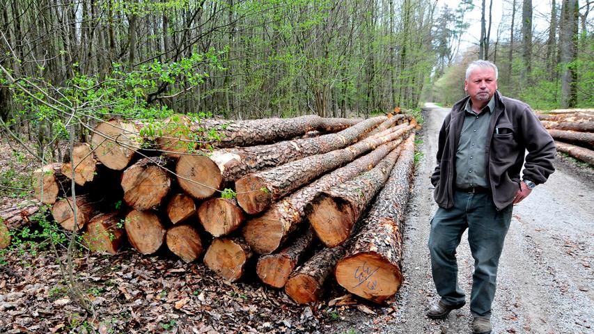 3300 Festmeter Holz wird jedes Jahr von Förster Distler geschlagen. Allerdings wird nicht alles aus dem Wald entfernt. Nur die Baumstämme werden abtransportiert.
