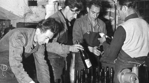 Zu den beiden großen Brauereien Steinbach und Kitzmann gesellen sich mittlerweile viele Hobby-Brauer und die "Bürgerbrauerei" Weller. Getragen von der Bergkirchweih, die Ruf und Größe auch den vormaligen Erfolgen der Exportbierbrauereien verdankt, hat sich das Bier-Bewusstsein in Erlangen bis heute gehalten.