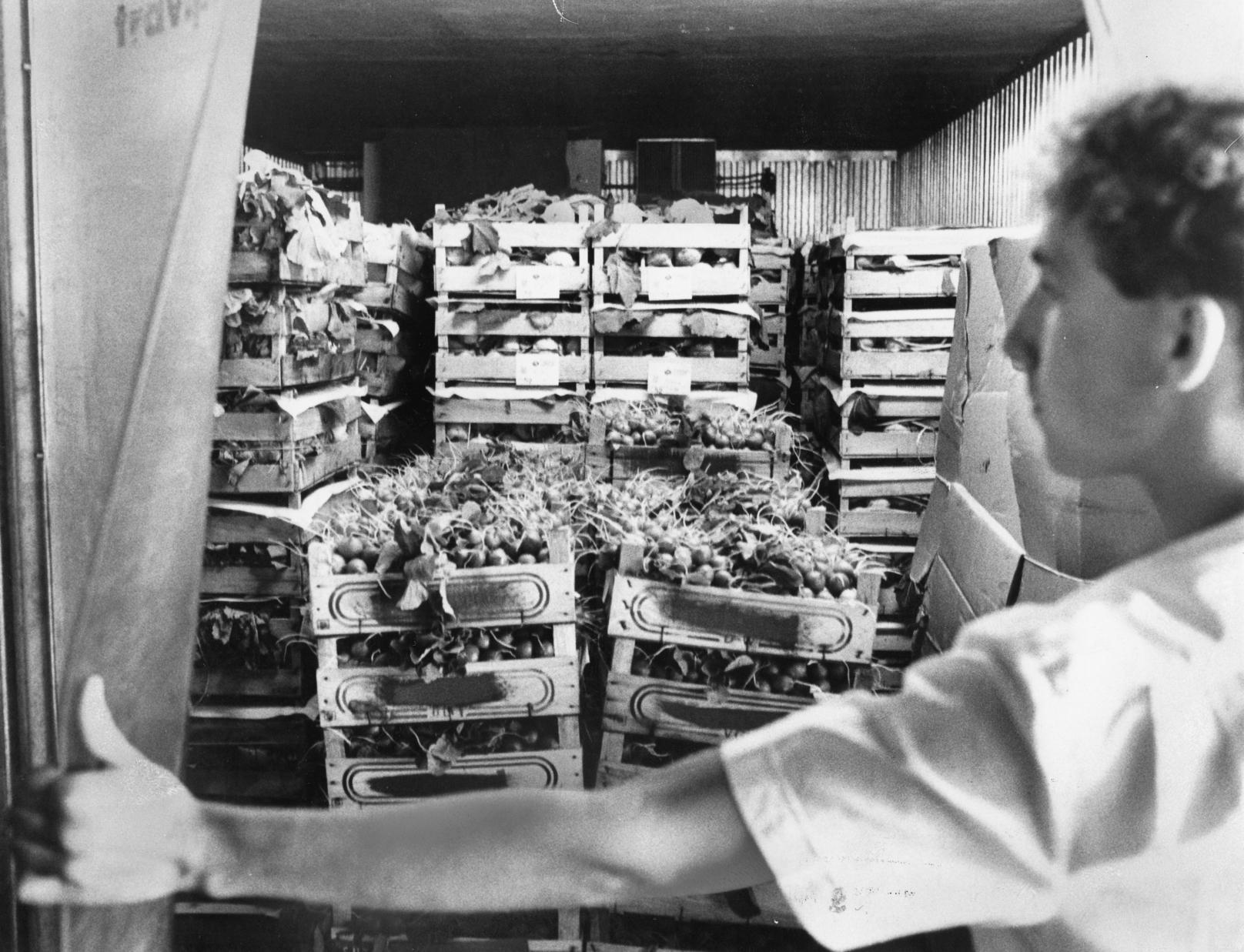 Auf Eis gelegt: Im Kühlraum der Gesellschaft 'Frankengemüse Knoblauchsland' wuchsen die Stapel von Kisten mit nicht absetzbarer Ware wie Kohlrabi oder Radieschen fast unter die Decke.