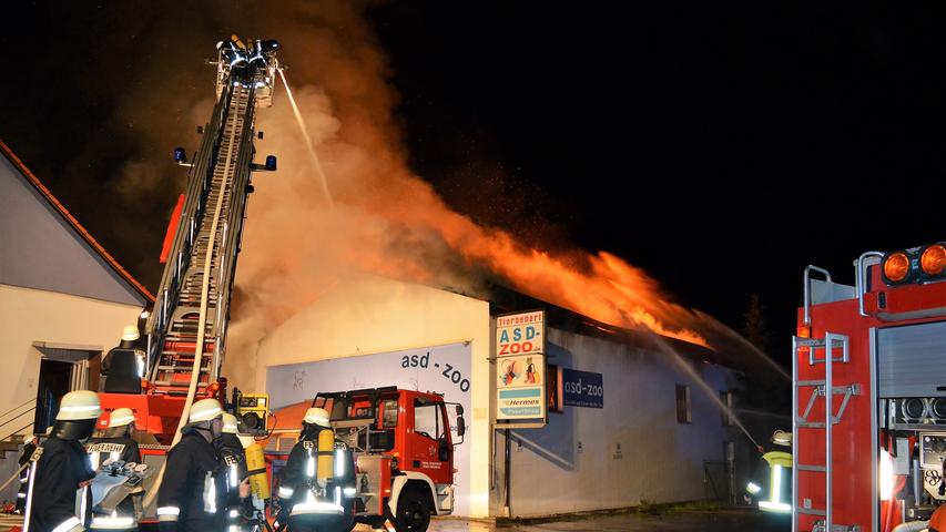 300.000 Euro Schaden: Zoohandlung in Parsberg in Flammen