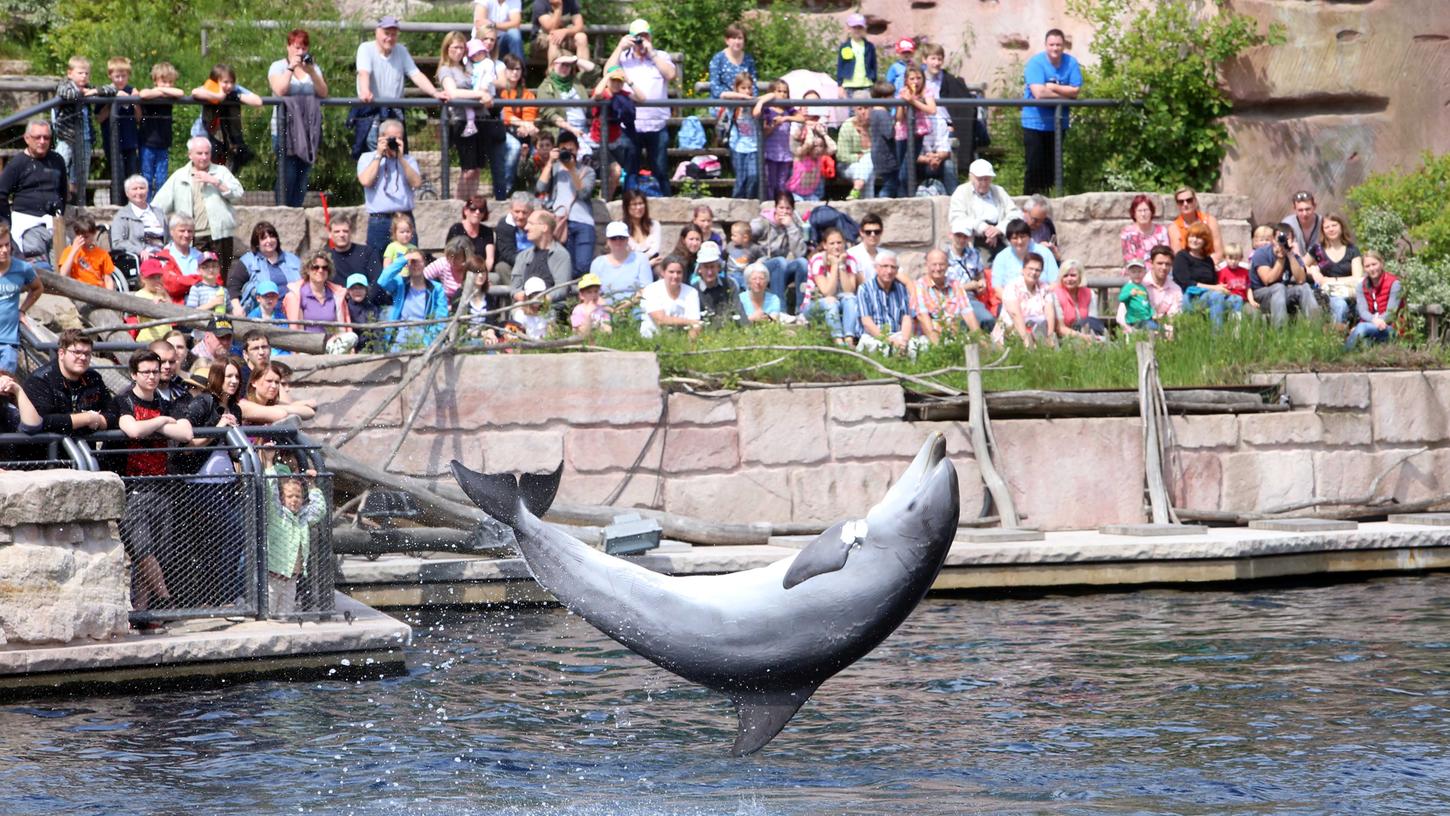 Beliebt und gut besucht, in technischer Hinsicht aber ein Sorgenkind: Die Delfinlagune im Tiergarten ist undicht.