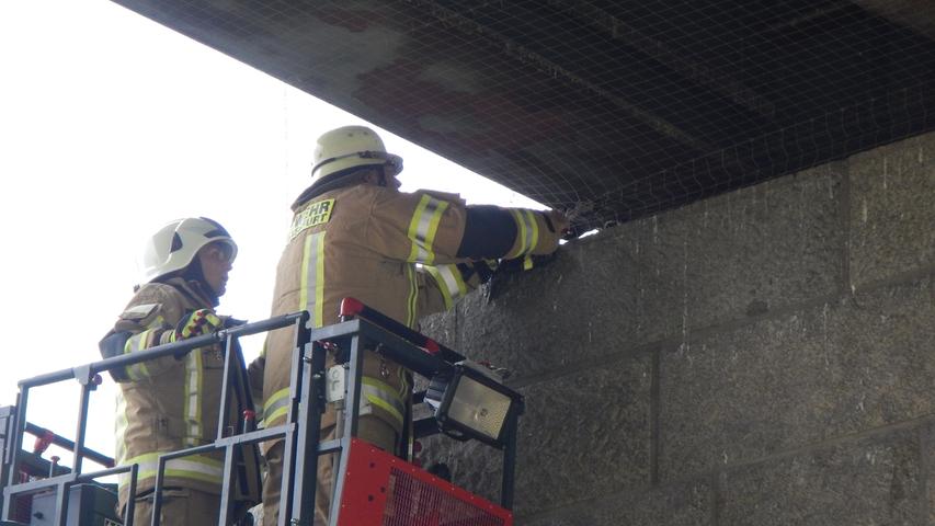 Taube in Netz gefangen: Hier rettet die Feuerwehr ein Tier