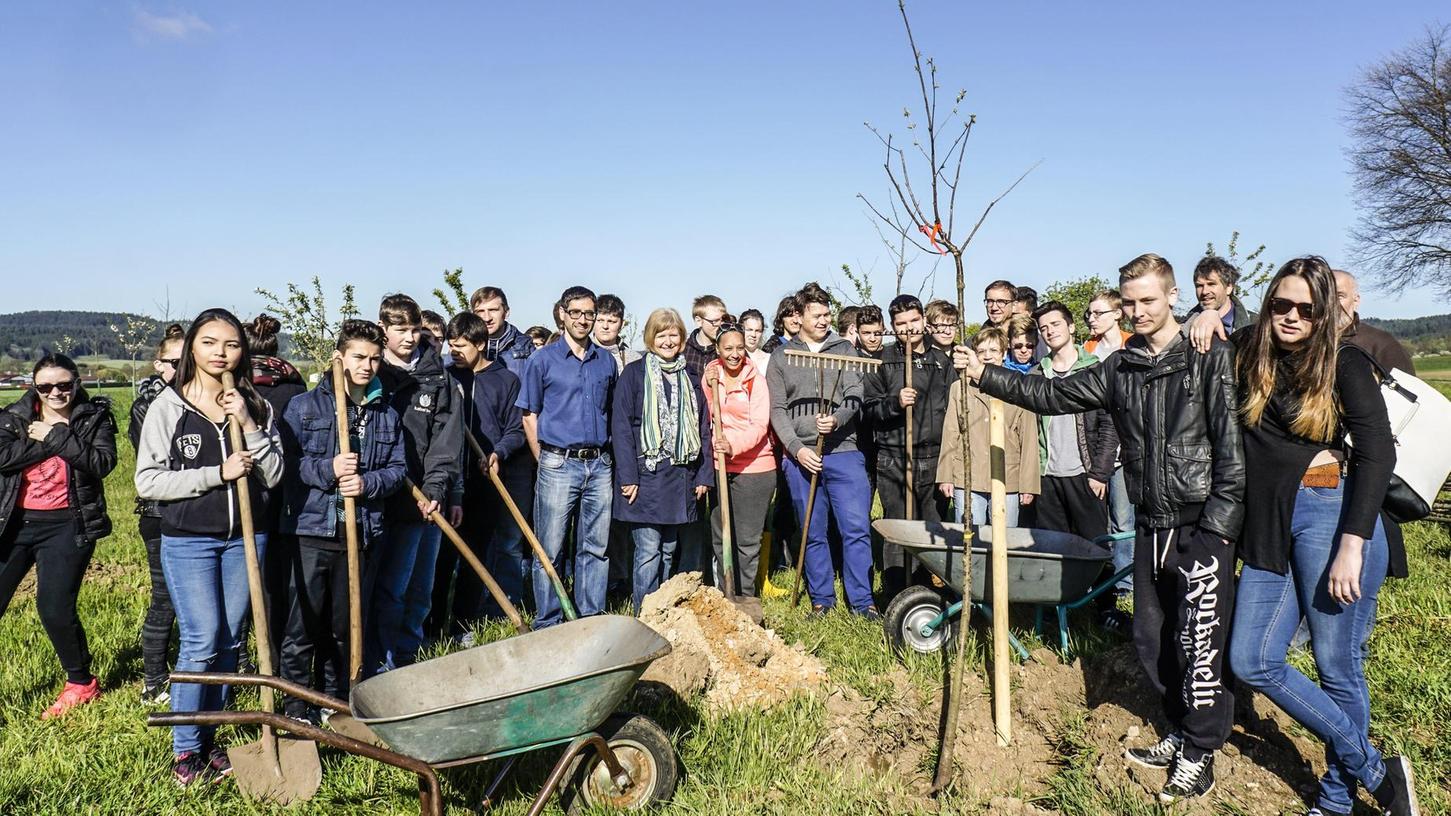 Jugendliche pflanzen 50 Obstbäume bei Pölling