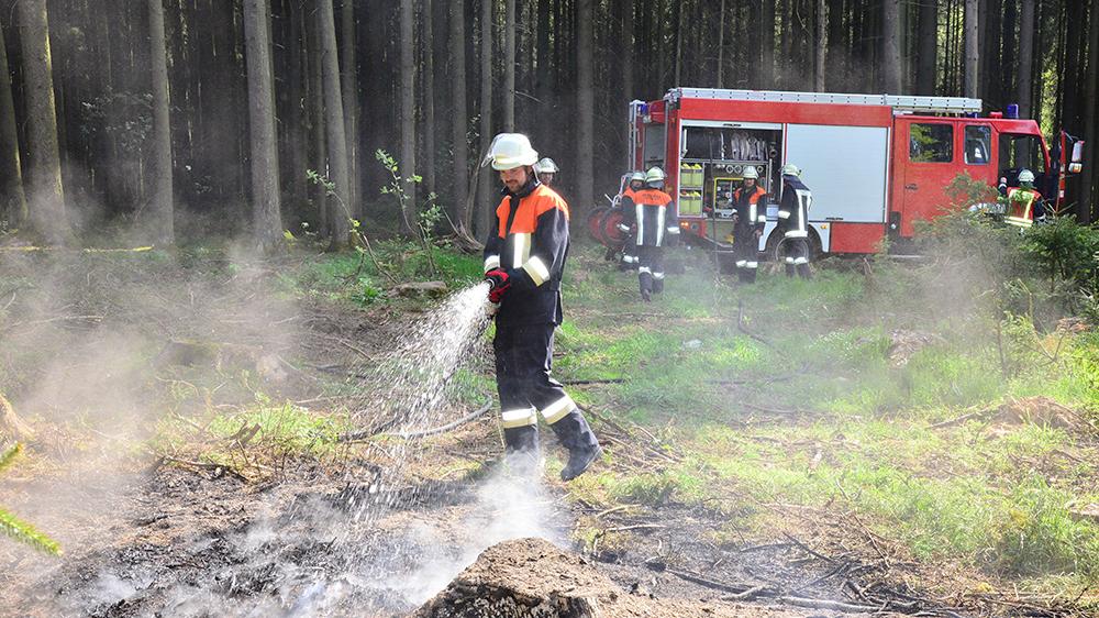 Feuerwehren mussten Waldbrand löschen