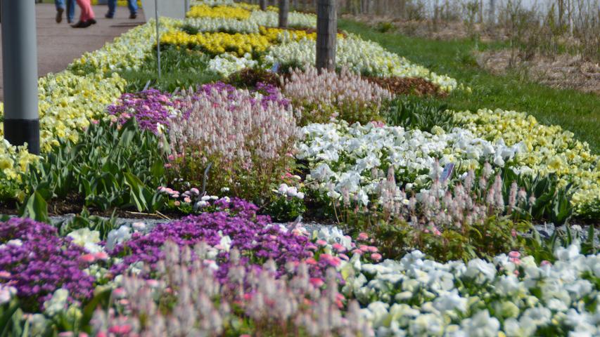 Blumenpracht bei der Landesgartenschau in Bayreuth
