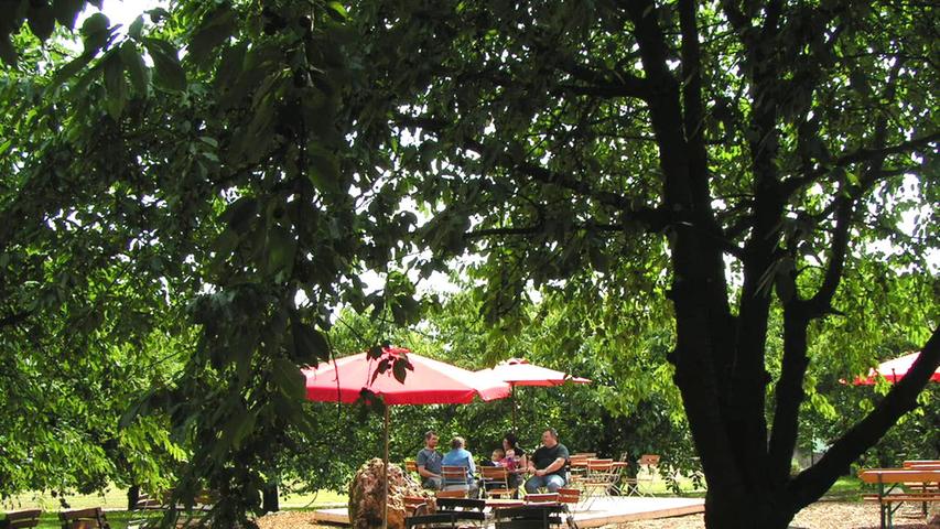 Im Wölfersdorfer Biergarten sitzen die Besucher "idyllisch" unter rund 50 Kirschbäumen:
- In dem Familienbetrieb in Hilpoltstein gehe es herzlich und gastfreundlich zu
- Das Weissennoher Bier ist, laut Gästen, sehr zu empfehlen und auch das Vesper lade zum regelmäßigen Besuch ein
- Der Biergarten ist mit der Wanderung von Simmelsdorf nach Gräfenberg kombinierbar und bietet in der ruhigen Lage, ohne Straßenverkehr, unter blühenden Obstbäumen einen guten Ort zur Rast
- Die freundlichen Bedienungen bringen den Gästen leckere Speisen und Getränke zu guten Preisen
Durchschnittsnote: 2,81 Im Wölfersdorfer Biergarten sitzen die Besucher "idyllisch" unter rund 50 Kirschbäumen:
- In dem Familienbetrieb in Hilpoltstein gehe es herzlich und gastfreundlich zu
- Das Weissennoher Bier ist, laut Gästen, sehr zu empfehlen und auch das Vesper lade zum regelmäßigen Besuch ein
- Der Biergarten ist mit der Wanderung von Simmelsdorf nach Gräfenberg kombinierbar und bietet in der ruhigen Lage, ohne Straßenverkehr, unter blühenden Obstbäumen einen guten Ort zur Rast
- Die freundlichen Bedienungen bringen den Gästen leckere Speisen und Getränke zu guten Preisen
Durchschnittsnote: 2,81
