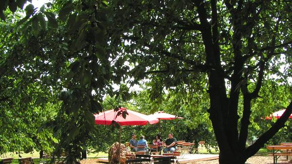 Im Wölfersdorfer Biergarten sitzen die Besucher "idyllisch" unter rund 50 Kirschbäumen: - In dem Familienbetrieb in Hilpoltstein gehe es herzlich und gastfreundlich zu - Das Weissennoher Bier ist, laut Gästen, sehr zu empfehlen und auch das Vesper lade zum regelmäßigen Besuch ein - Der Biergarten ist mit der Wanderung von Simmelsdorf nach Gräfenberg kombinierbar und bietet in der ruhigen Lage, ohne Straßenverkehr, unter blühenden Obstbäumen einen guten Ort zur Rast - Die freundlichen Bedienungen bringen den Gästen leckere Speisen und Getränke zu guten Preisen