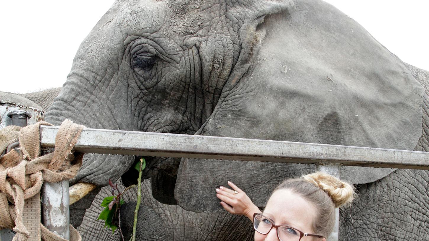 Streicheleinheiten für den Dickhäuter. Unsere Redakteurin war zu Besuch im Zirkus Voyage.