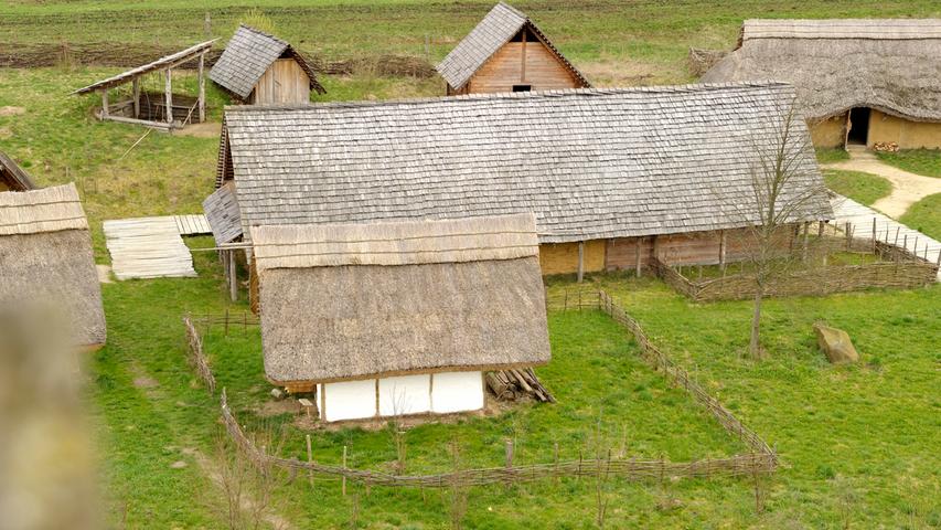 Auch Wollschweine und Schafe gibt es in Bärnau, sie werden am Rand der Siedlung gehalten. Selbst bei der Bepflanzung wird sich hier nach archäologischen Erkenntnissen gerichtet.