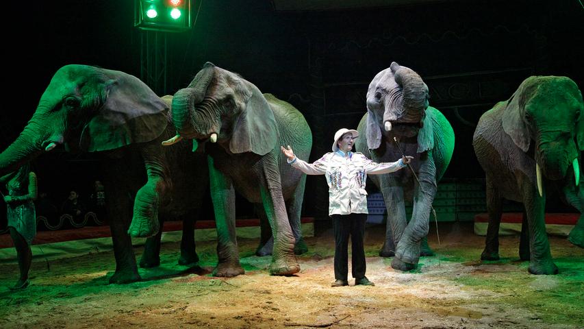 Die vier Elefanten zeigen sich in der Manege dem Publikum in all ihrer stillen Größe.