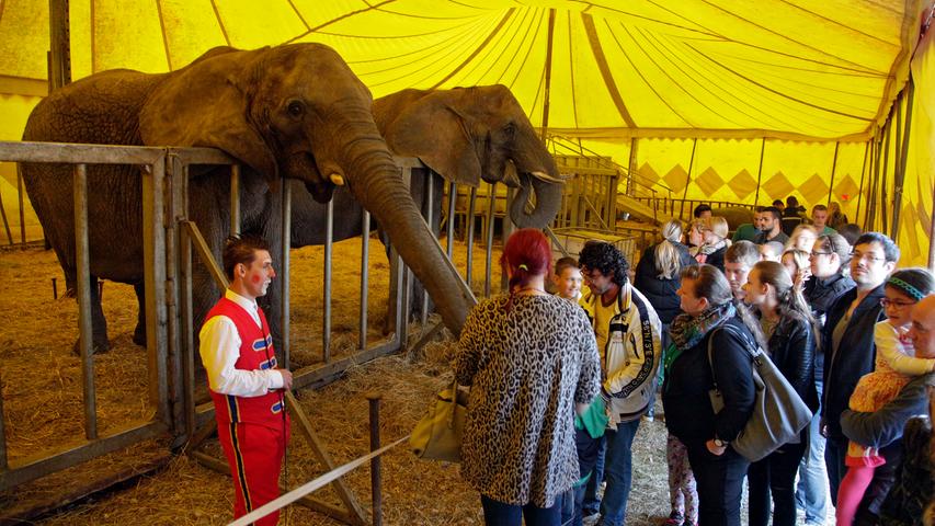 Auch im Anschluss an die Vorführung dürfen die Besucher noch einmal Kontak zu den großen Elefanten aufnehmen.