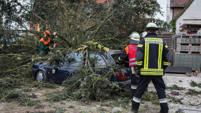 Baum umgestürzt: Fürther Feuerwehren üben den Ernstfall
