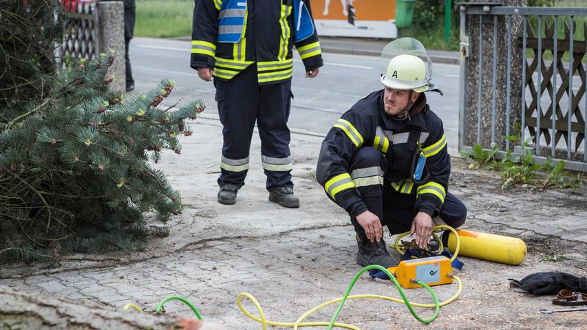 Baum umgestürzt: Fürther Feuerwehren üben den Ernstfall