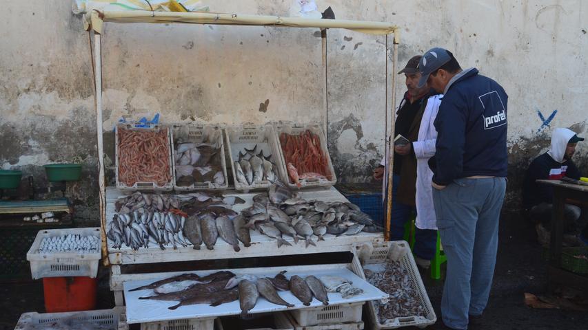 ...die Fischer ihren fangfrischen Fisch direkt verkaufen, unter anderem Schollen, Brassen und Garnelen.