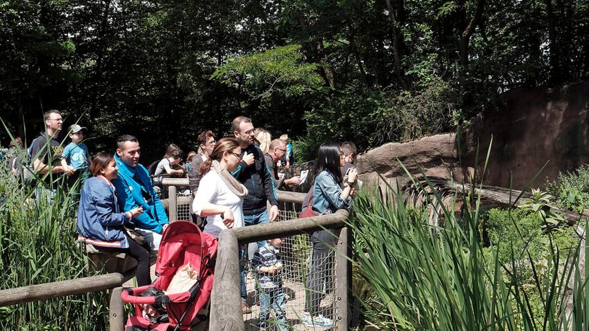 Der Natur zuliebe: Sommerfest im Tiergarten 