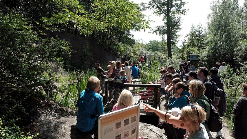 Der Natur zuliebe: Sommerfest im Tiergarten 