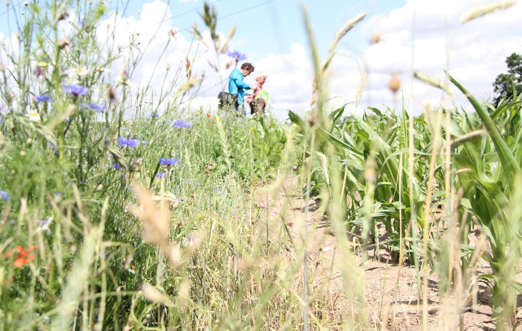 Naturschutzprojekt \