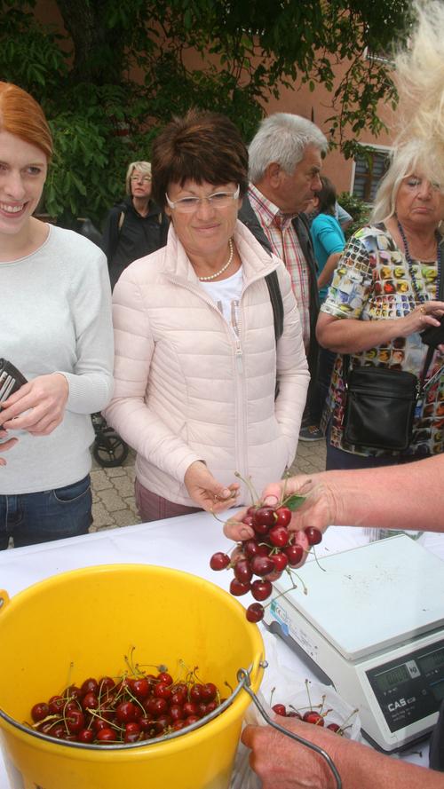 Viele Hoheiten, aber wenig Obst: Das Kirschhoffest in Großweingarten