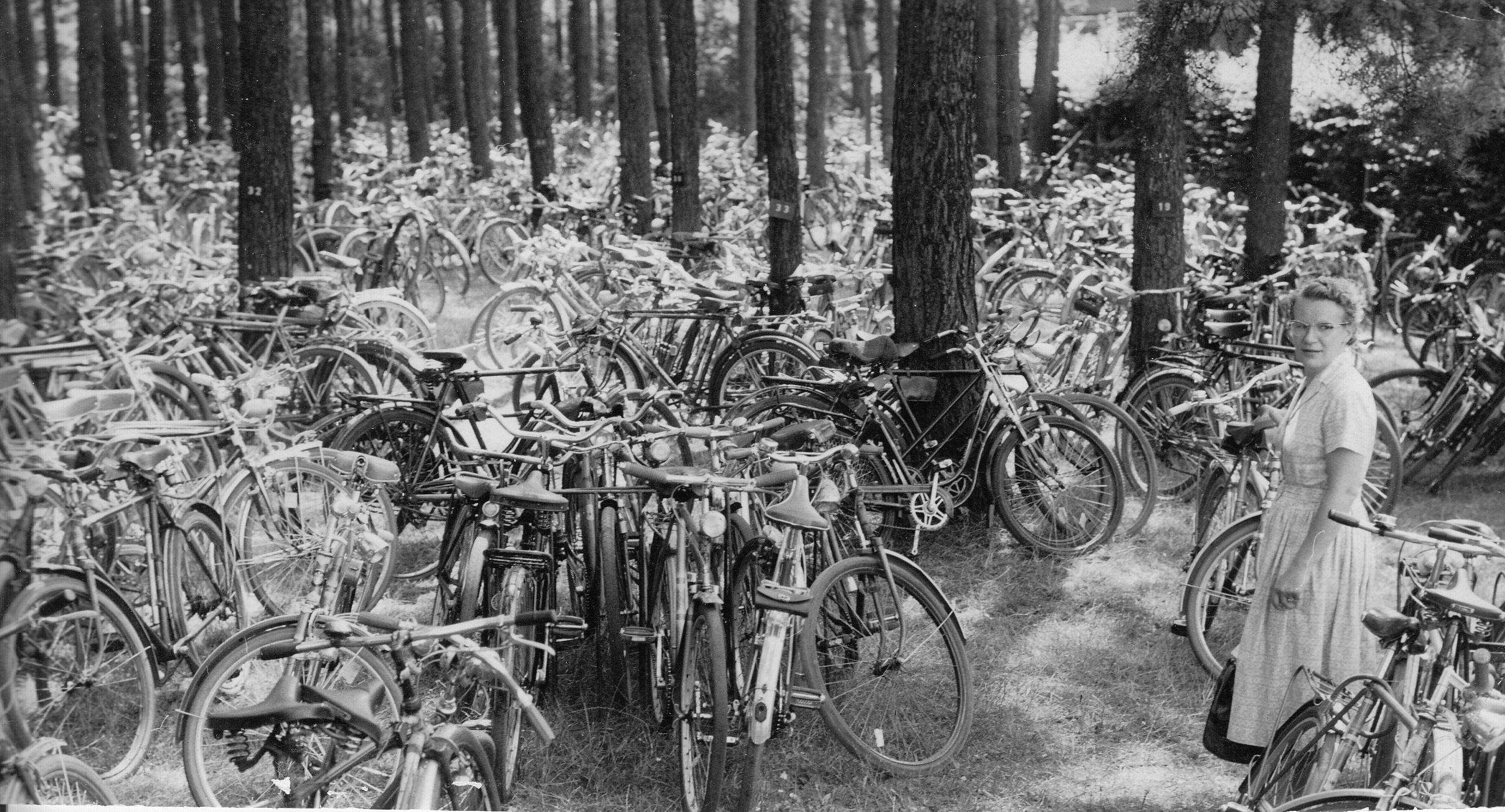 Ein Jahrzehnt des Fernwehs? Das waren die 50er auf jeden Fall - Traumziele vieler Nürnberger waren Italien und die Mittelmeerstrände. Doch für einen heißen Sommer musste niemand weit reisen. 1952 erreichte die Hitze in Nürnberg im Juli Temperaturen an die 40 Grad. Doch auch 1959 legte der Sommer ordentlich zu: Über 46.000 Besucher strömten in die Nürnberger Bäder. Mit dem Fahrrad. Was zu Parkplatzproblemen führte. Doch der Besuch lohnte sich: Die Betreiber der Freibäder versenkten tonnenweise Eis in den Schwimmbecken, um das Wasser zu kühlen.