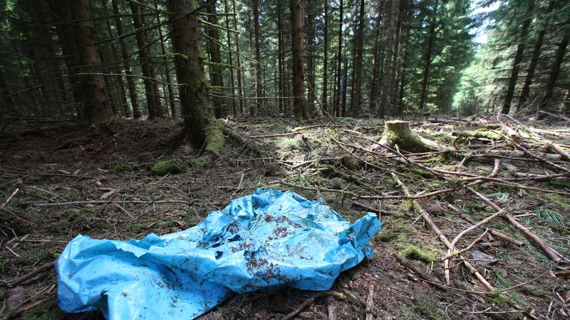 Die Waldhütte steht unweit der Stelle bei Rodacherbrunn, an der im Juli die sterblichen Überreste von Peggy gefunden wurden.