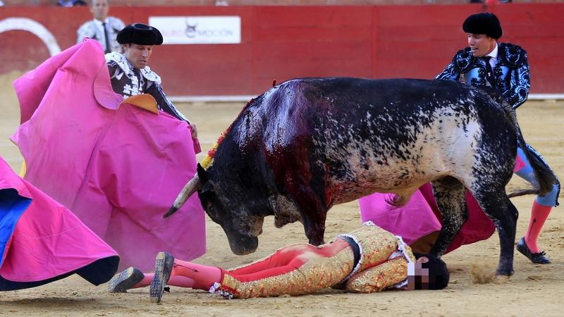 Spanischer Torero von Stier durchbohrt und getötet