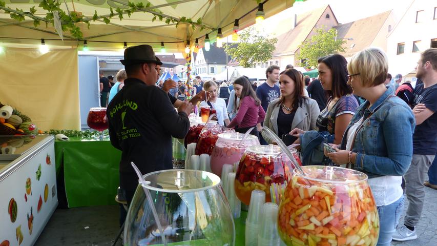 Das Freystädter Stadttorfest 2016 begeisterte wieder die Besucher aus Nah und Fern.