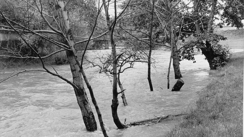 Die Pegnitz rauscht gewaltig in ihrem Bett, denn die unaufhörlichen Niederschläge in den letzten Tagen haben den Fluß wieder anschwellen lassen.  Hier geht es zum Artikel vom 21. Juli 1966: Pegnitz einen Meter über Normalhöhe.