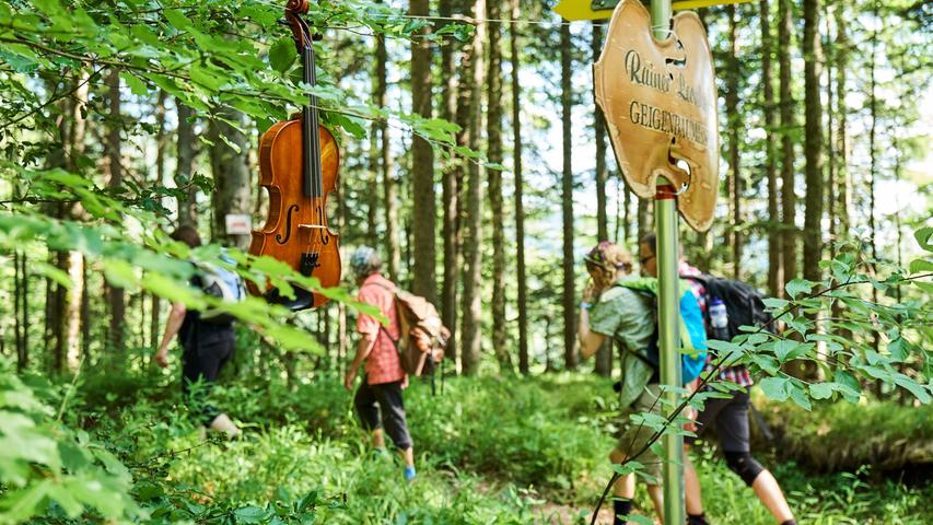 Ein Geigenbauer zeigt mitten im Wald sein Handwerk und einige wertvolle Exemplare.