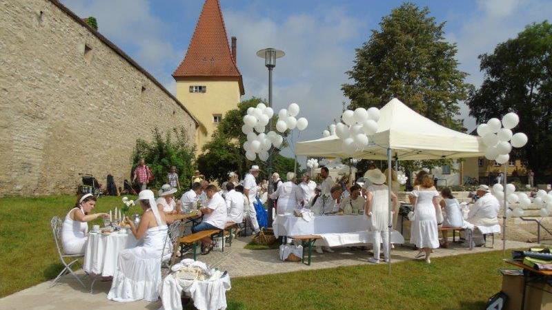 Das Picknick im Sulz-Park an der historischen Stadtmauer war ein stilvolles Stelldichein Berchinger Bürger, allesamt in Weiß gekleidet.