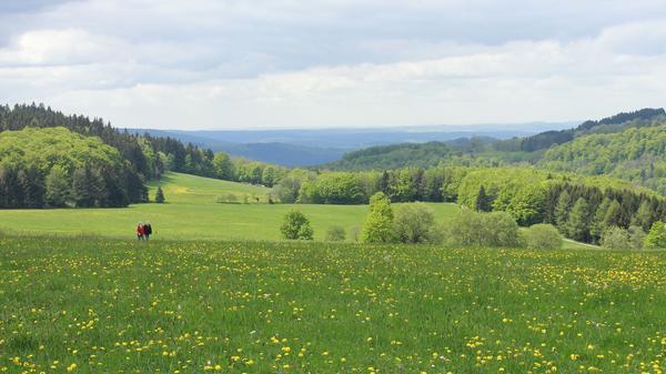 Der Hochrhöner ist als Premiumweg zertifiziert und verbindet die Höhepunkte im UNESCO-Biosphärenreservat Rhön zwischen Bad Kissingen und Bad Salzungen.