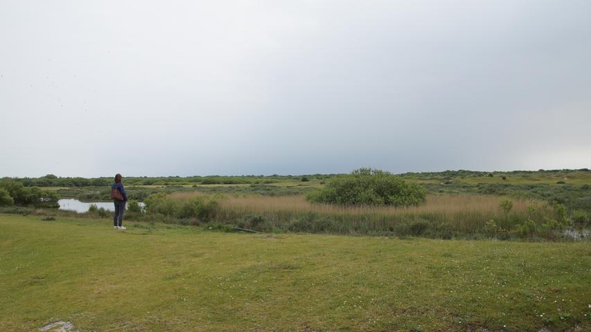 Weite Teile der Insel sind heute ein Vogelreservat.