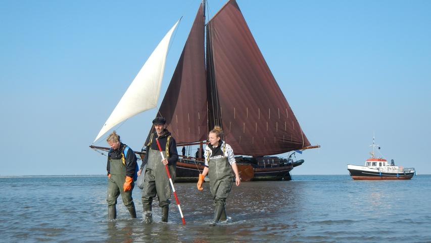 Skipper Maurits hat die Willem Jakob an der Sandbank Ingelmanns Plaat trockenfallen lassen. Dadurch wird das Schiff zum Startpunkt für eine Wanderung.