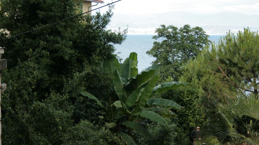 Fast wie im Dschungel: Im Schutz des Ucka-Gebirges hat sich in Opatija eine subtropische Vegetation entwickelt.