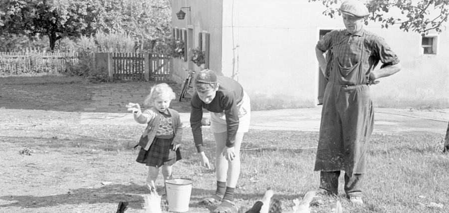 Diese Großstadtkinder füttern zum ersten Mal das liebe Federvieh.
  Hier geht es zum Artikel vom 13. August 1966: Urlaub beim Bauern bringt Erholung.