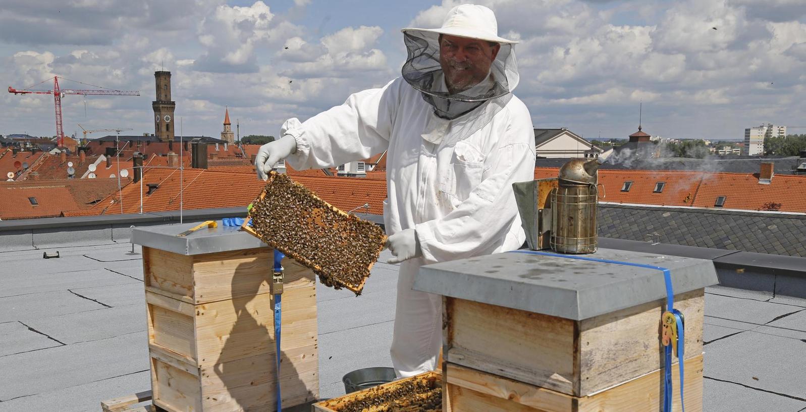 So schmeckt Fürth: Honig aus luftiger Höhe