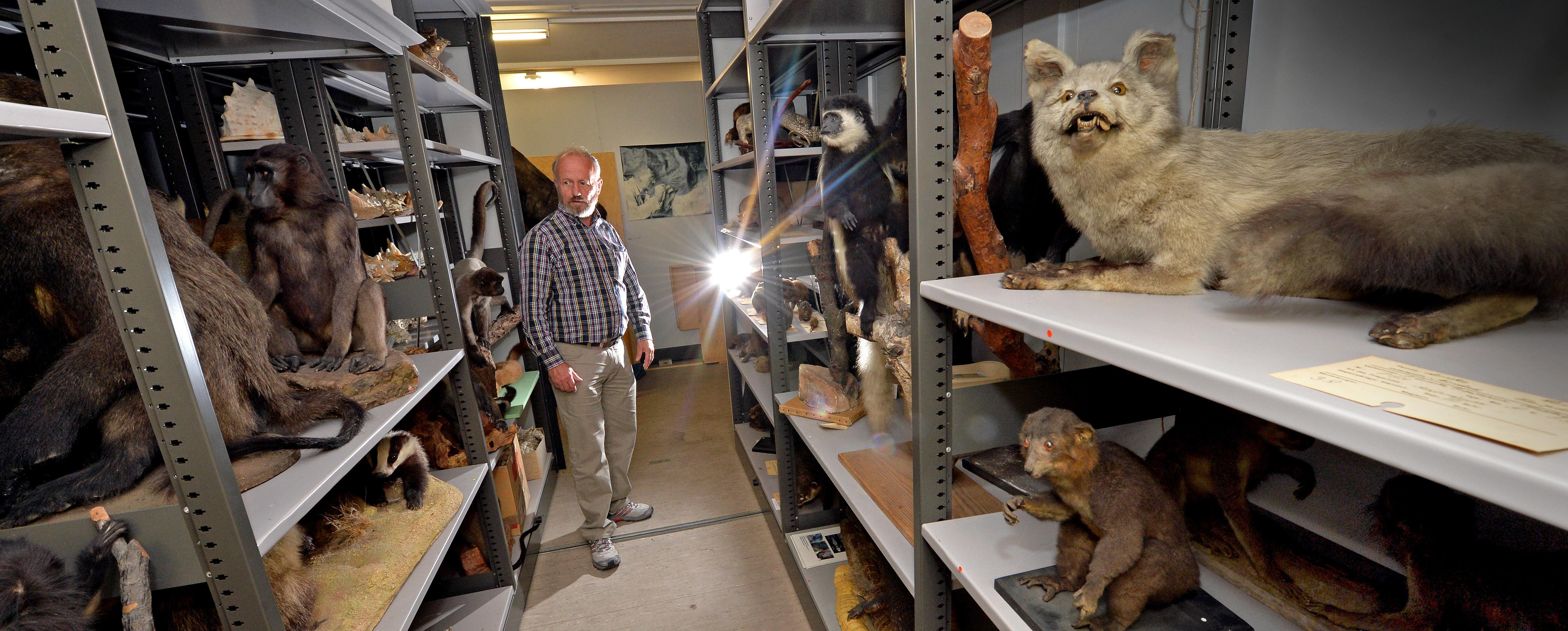 Ein Besuch im Grusel-Keller des Naturkundehauses - Nürnberg - nordbayern.de