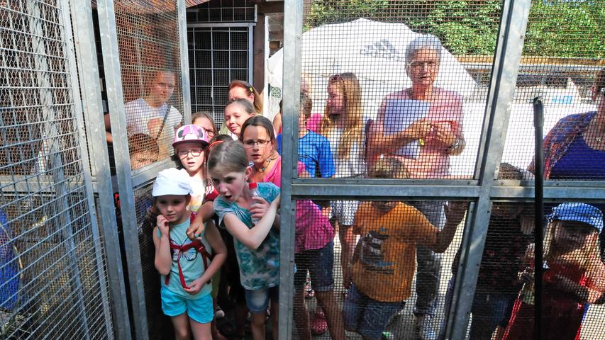 Ferienprogramm in Forchheim: Kinder besuchen Tierheim