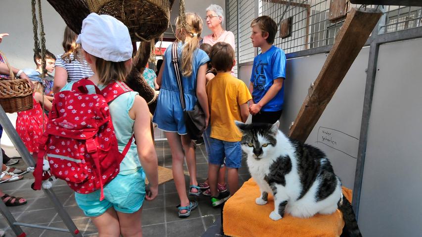 Ferienprogramm in Forchheim: Kinder besuchen Tierheim