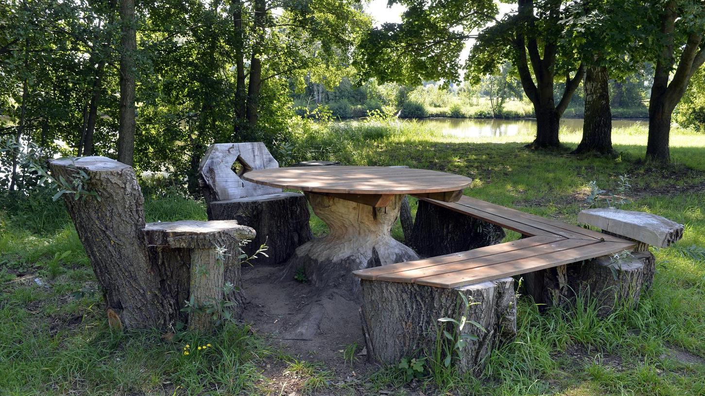 Ein Biberstamm-Tisch in Baiersdorf
