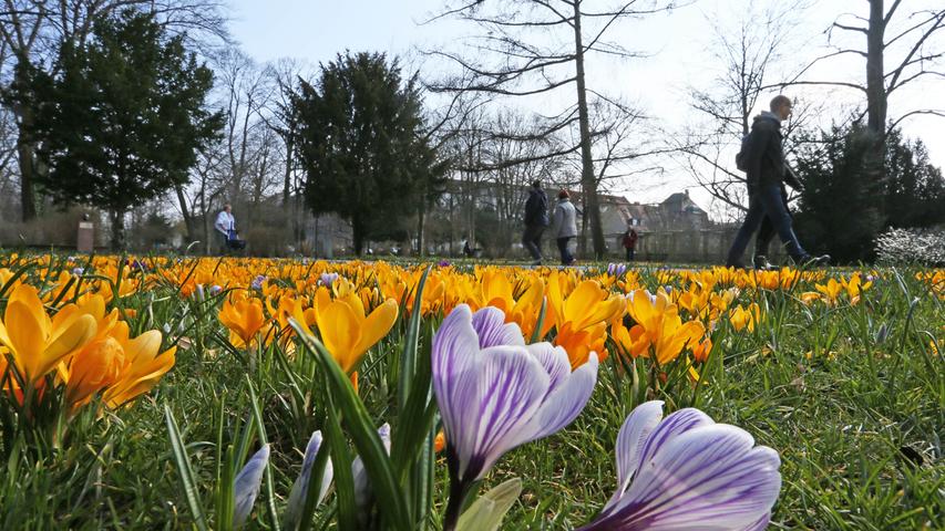 Im Frühjahr beginnt der Stadtpark aufzublühen.