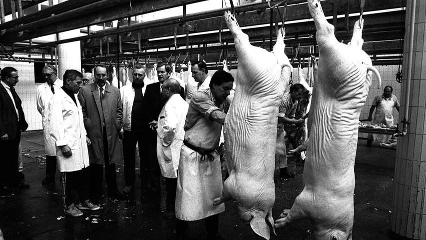 1988 schauen sich Stadträte in der Schweineschlachthalle um - da sind die Tage des Schlachthofs bereits gezählt. Technisch veraltet und zu eng ist er.