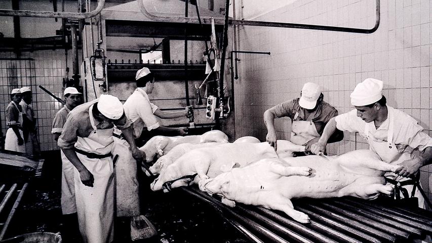 1991: In der allerletzten Prüfung vor der Schließung der Halle müssen acht angehende Fürther Metzger beweisen, dass sie absolut jedem Schwein gewachsen sind. Der Schlachthof zieht danach komplett nach Burgfarrnbach um.